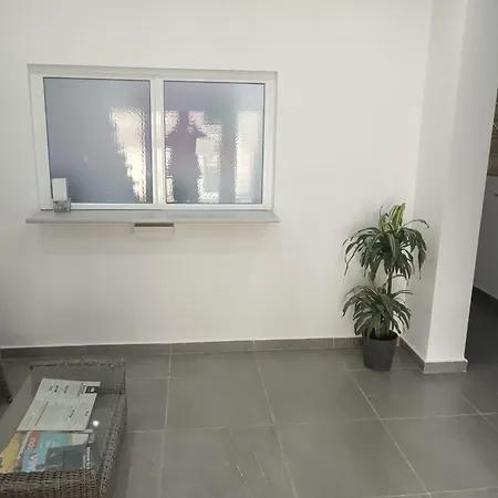 Отель Magnolia 3*